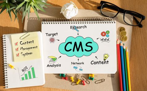 Driving Organic Traffic: The Role of Headless CMS in SEO Success
